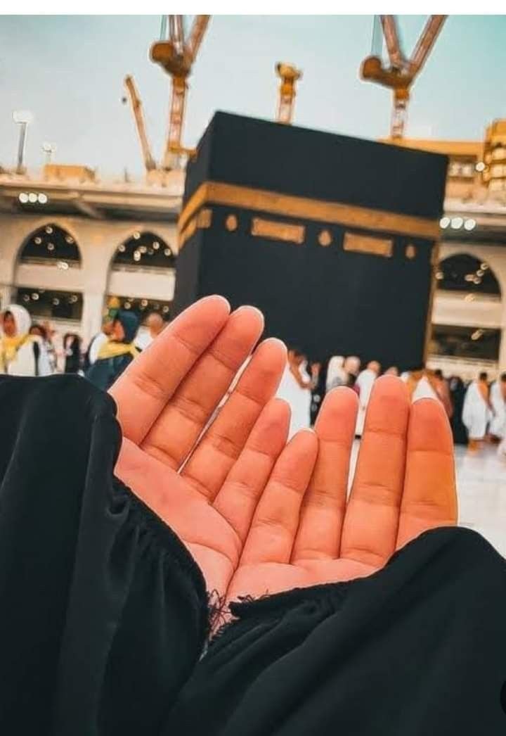 stylish-hijab-girl-dp stylish-hijab-girl-dp