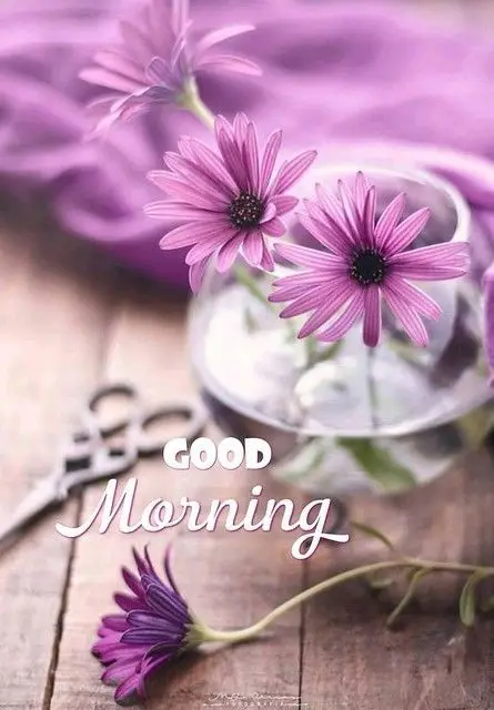 african-american-good-morning-images african-american-good-morning-images