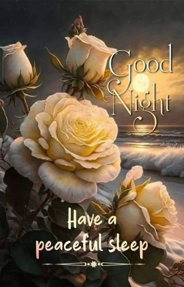 army-good-night-photo army-good-night-photo