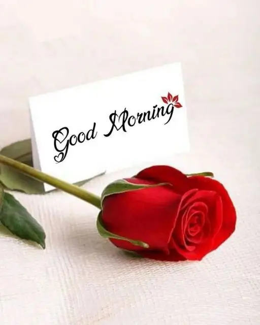 beautiful-flowers-good-morning-images beautiful-flowers-good-morning-images
