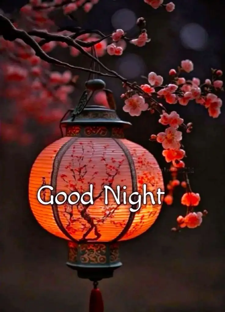 beautiful-good-morning-images-and-wishes beautiful-good-morning-images-and-wishes