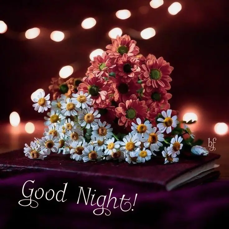 beautiful-good-night-images-and-quotes beautiful-good-night-images-and-quotes
