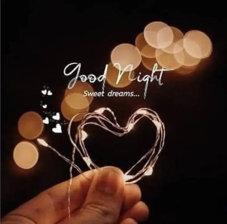 beautiful-good-night-images-bengali beautiful-good-night-images-bengali