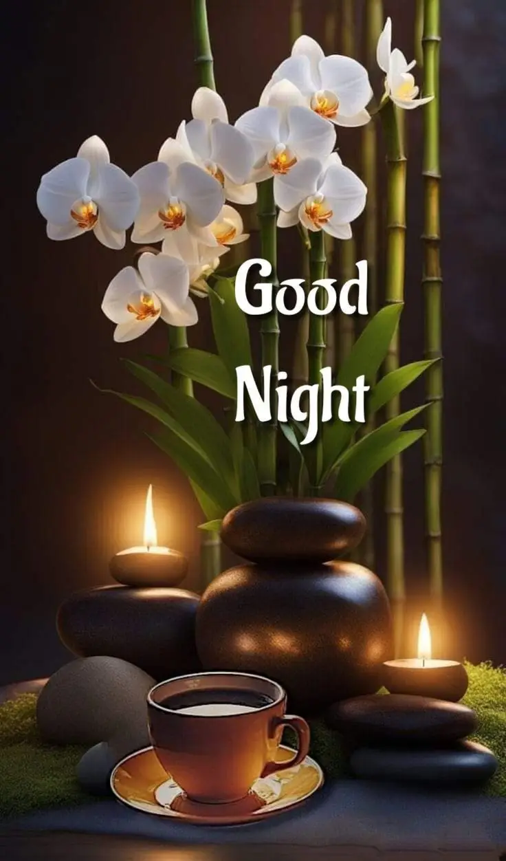 best-beautiful-good-night-images best-beautiful-good-night-images