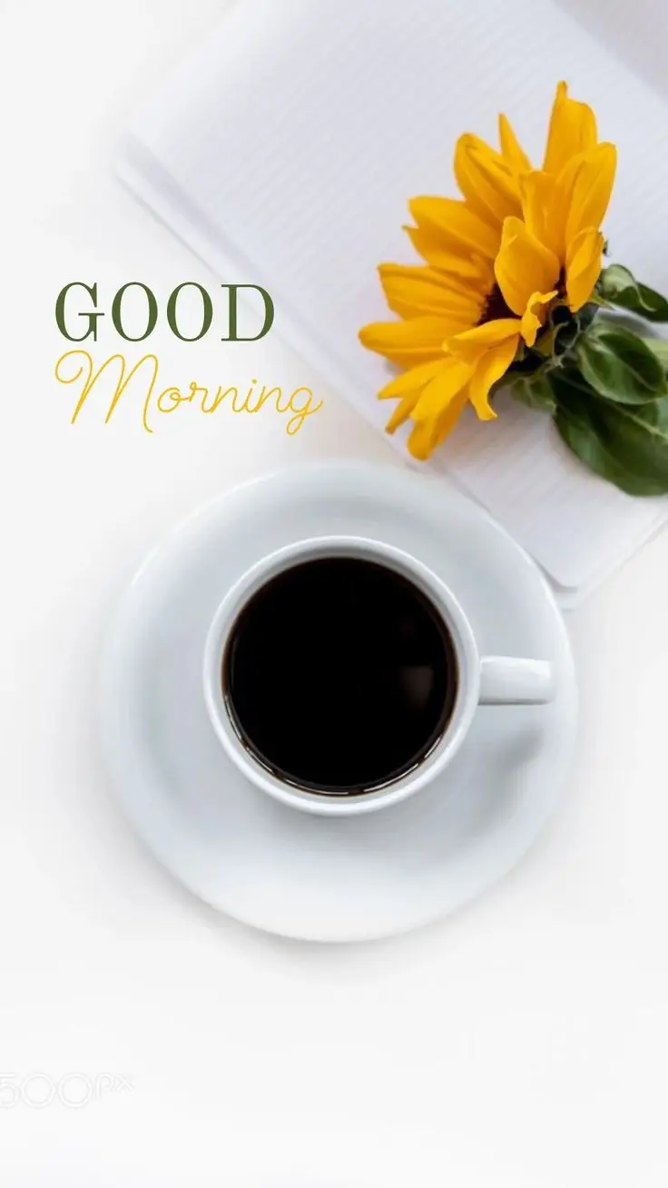 buddha-good-morning-images buddha-good-morning-images