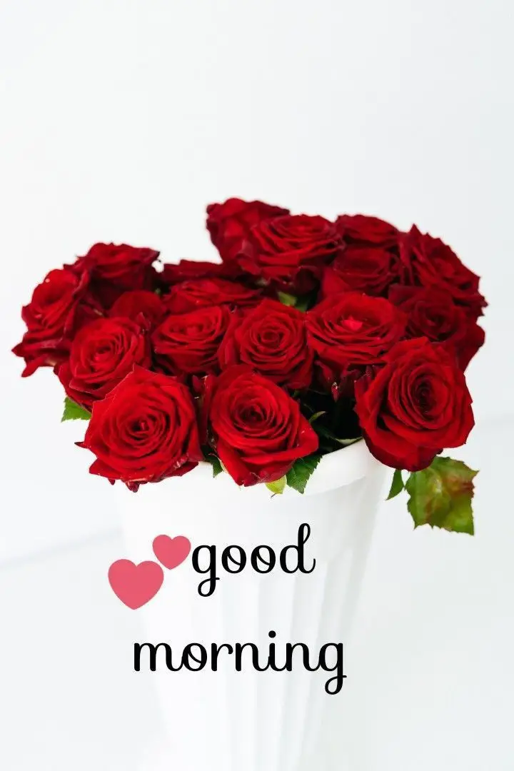 chinese-good-morning-images chinese-good-morning-images