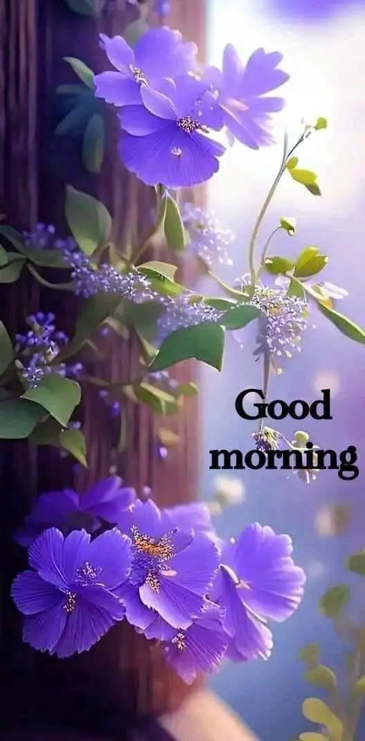 christian-good-morning-images christian-good-morning-images