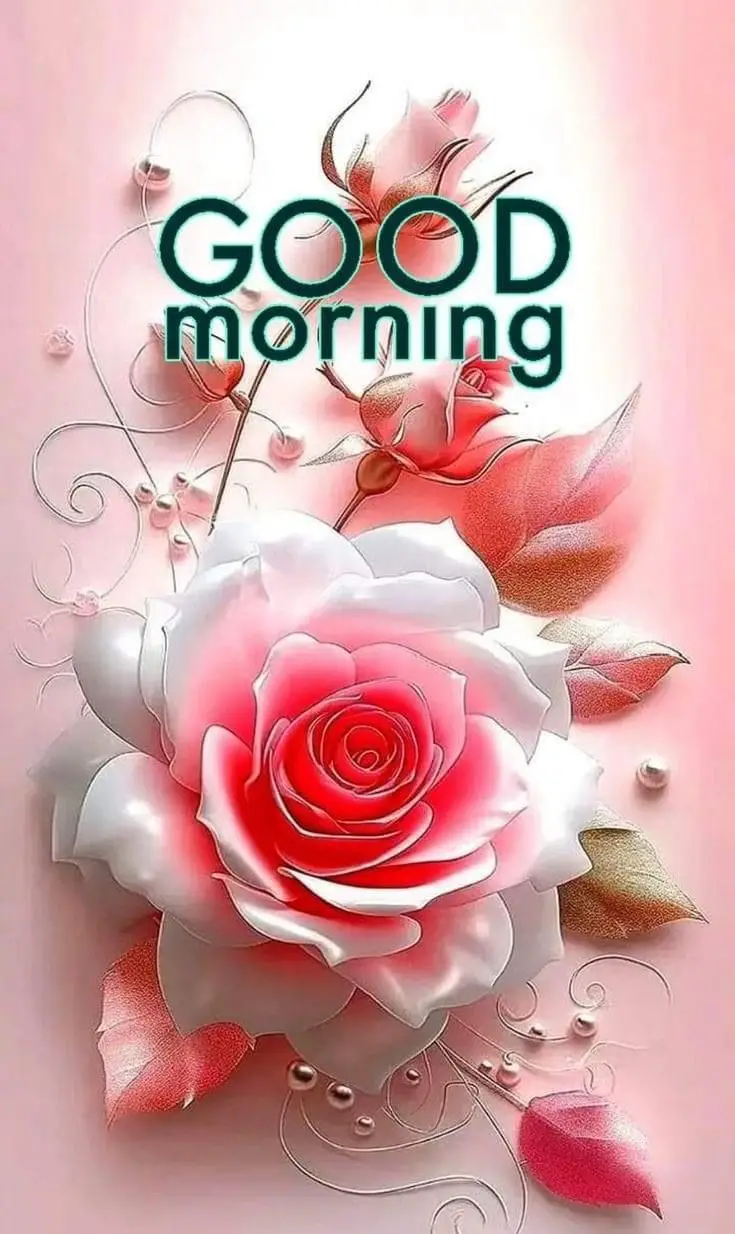 cold-good-morning-images cold-good-morning-images