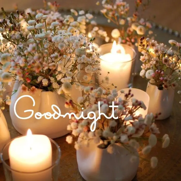 cute-cartoon-good-night-images cute-cartoon-good-night-images