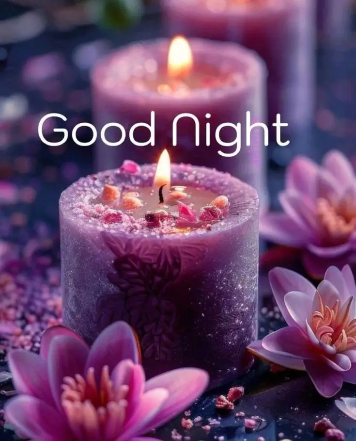 cute-good-night-images-and-quotes cute-good-night-images-and-quotes