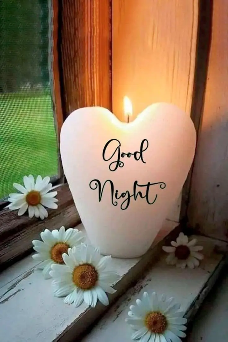 cute-good-night-images-with-quotes cute-good-night-images-with-quotes