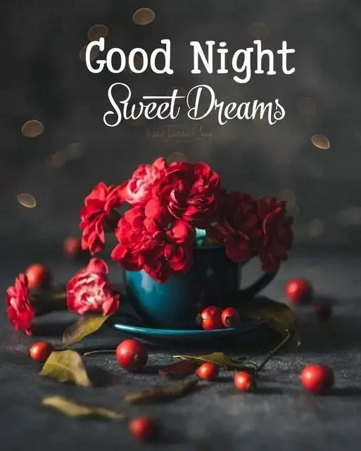 free-good-night-pic free-good-night-pic