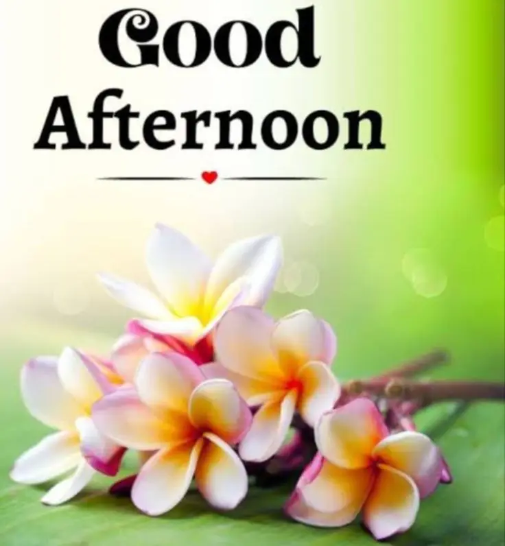 good-afternoon-images-bengali good-afternoon-images-bengali