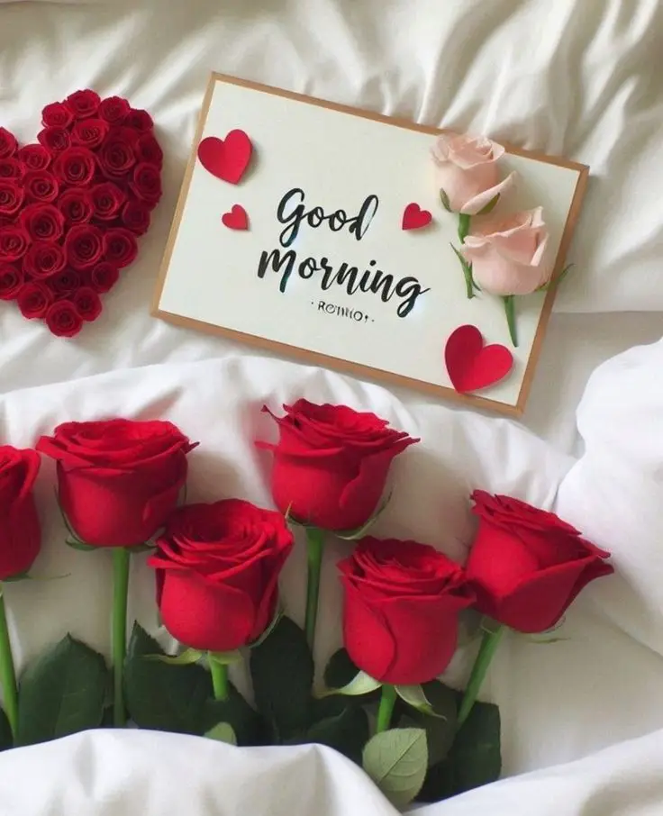 good-morning-images-and-quotes-for-him good-morning-images-and-quotes-for-him
