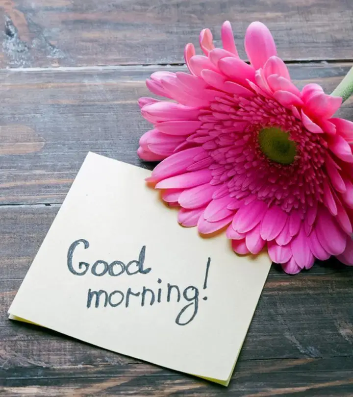 good-morning-images-and-quotes-funny good-morning-images-and-quotes-funny