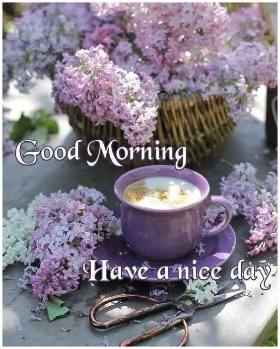good-morning-images-and-quotes good-morning-images-and-quotes