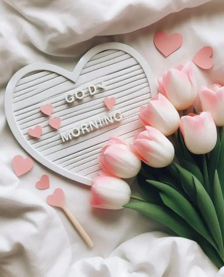 good-morning-images-beautiful good-morning-images-beautiful