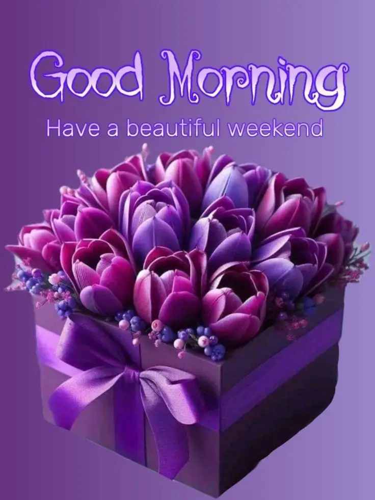 good-morning-images-birds good-morning-images-birds