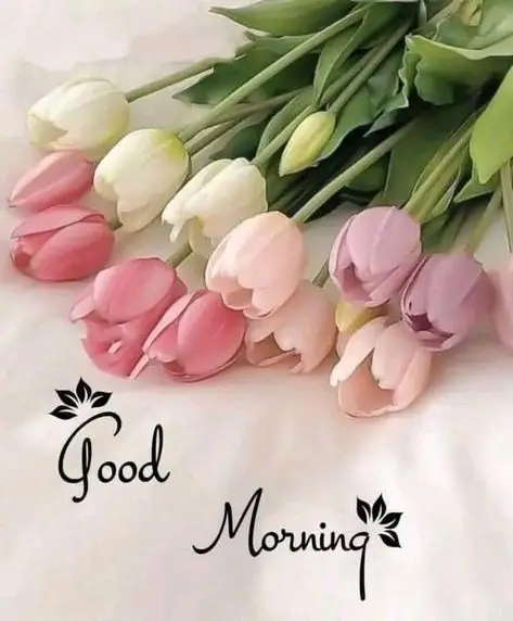 good-morning-images-black-women good-morning-images-black-women