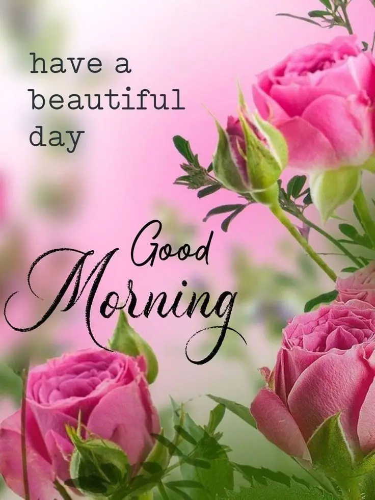 good-morning-images-butterfly good-morning-images-butterfly