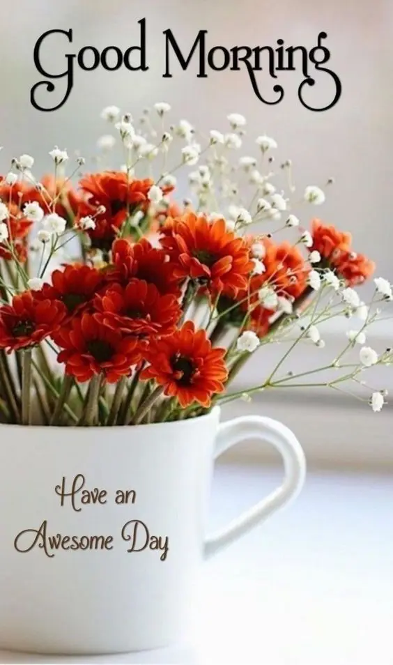 good-morning-images-cute-gif good-morning-images-cute-gif