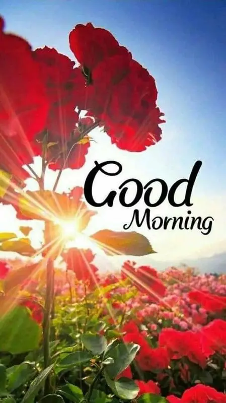 good-morning-images-disney good-morning-images-disney