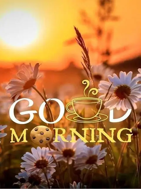 good-morning-photo-and-shayari good-morning-photo-and-shayari