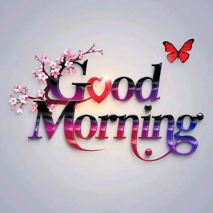 good-morning-photography good-morning-photography