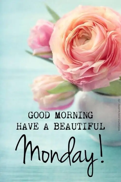 good-morning-picture-quotes good-morning-picture-quotes