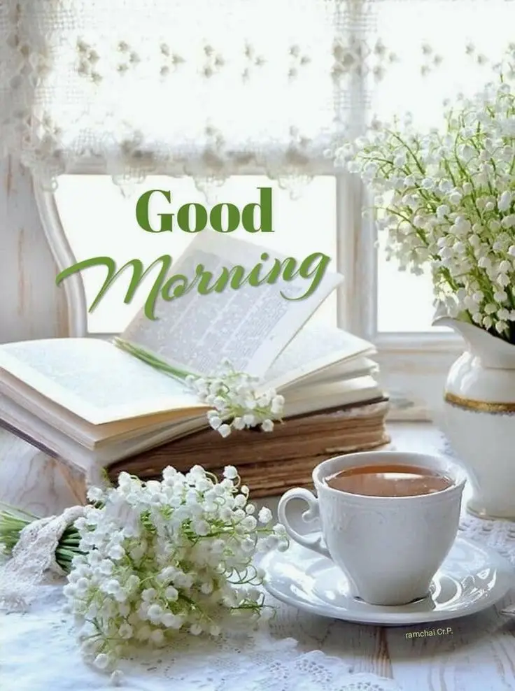 good-morning-picture-quotes good-morning-picture-quotes