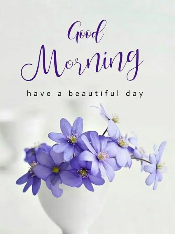good-morning-pictures-images good-morning-pictures-images