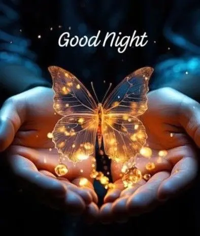good-night-images-and-messages good-night-images-and-messages
