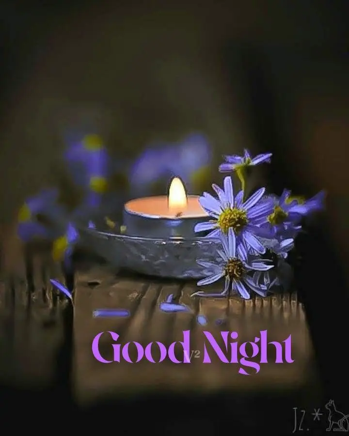 good-night-images-animated good-night-images-animated