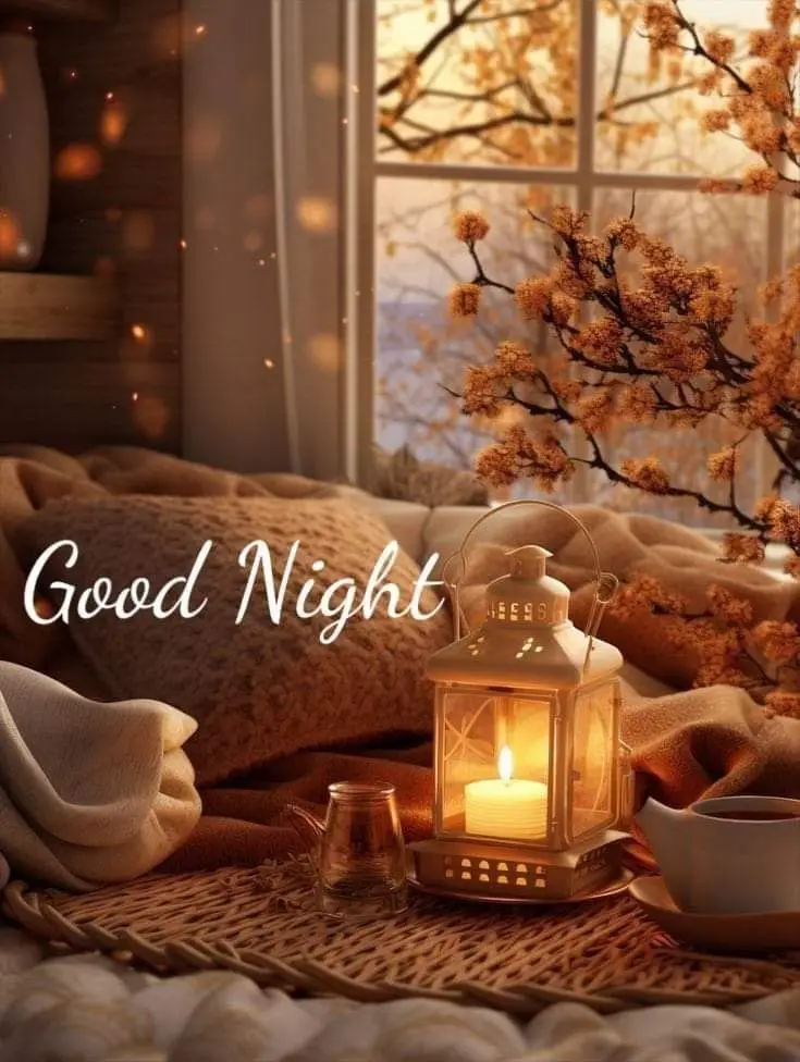 good-night-images-cats good-night-images-cats