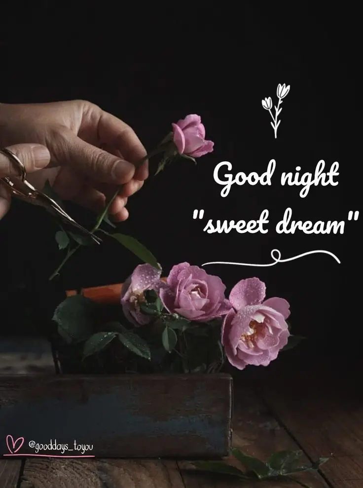 good-night-images-simple-and-beautiful-for-whatsapp good-night-images-simple-and-beautiful-for-whatsapp