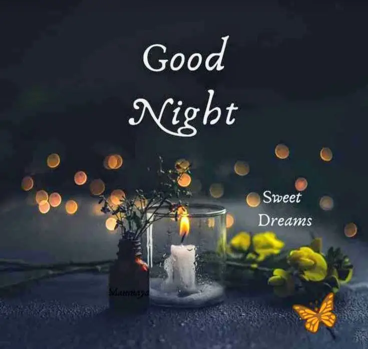good-night-photo good-night-photo