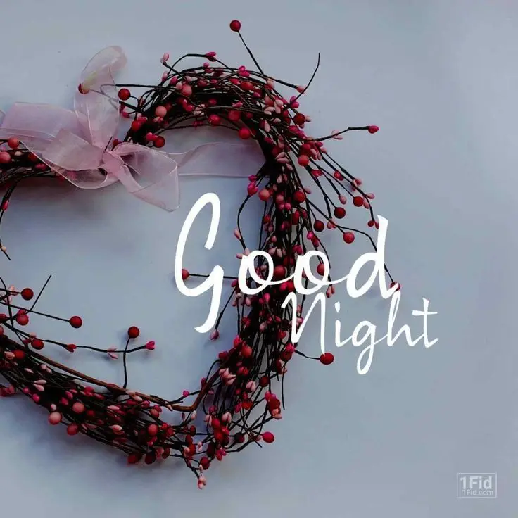 good-night-photos good-night-photos