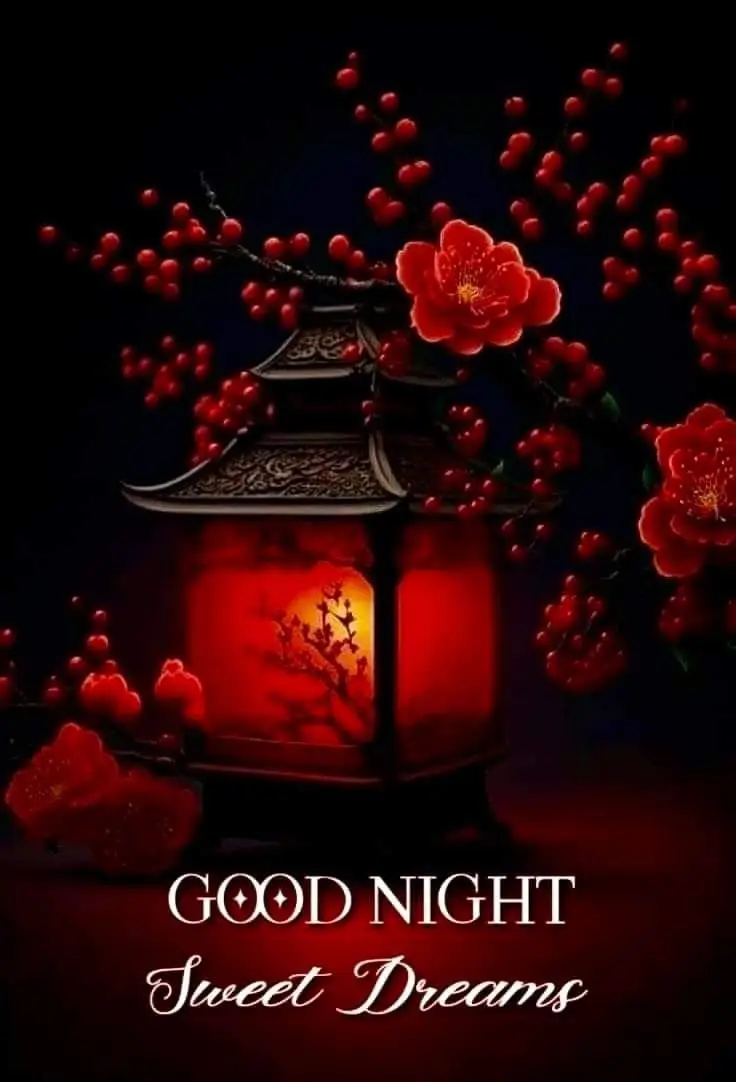 good-night-pictures-gif good-night-pictures-gif