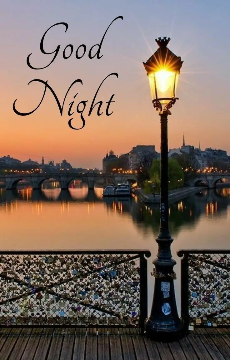 good-night-shayari-pic good-night-shayari-pic