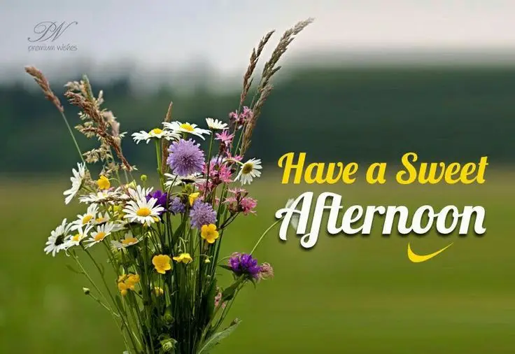sharechat-good-afternoon-photo sharechat-good-afternoon-photo