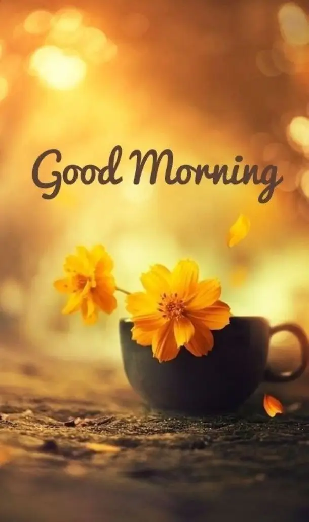 spectacular-good-morning-images spectacular-good-morning-images