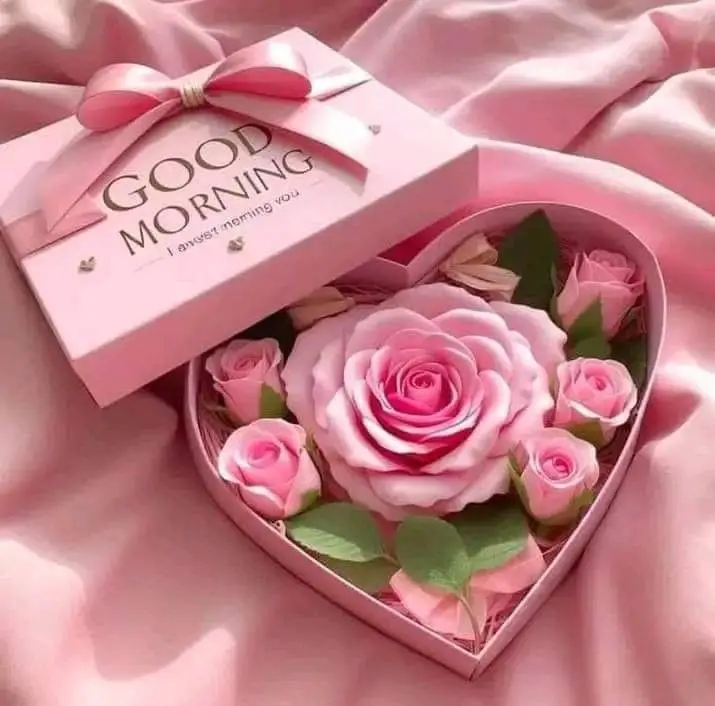 today-special-good-morning-images-bangla today-special-good-morning-images-bangla