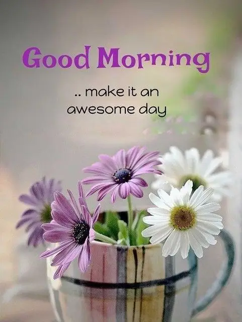 today-special-good-morning-images-download-free-with-quotes today-special-good-morning-images-download-free-with-quotes