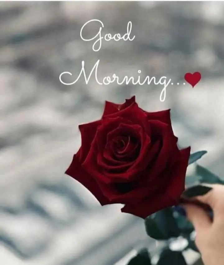 today-special-good-morning-images-god-quotes today-special-good-morning-images-god-quotes