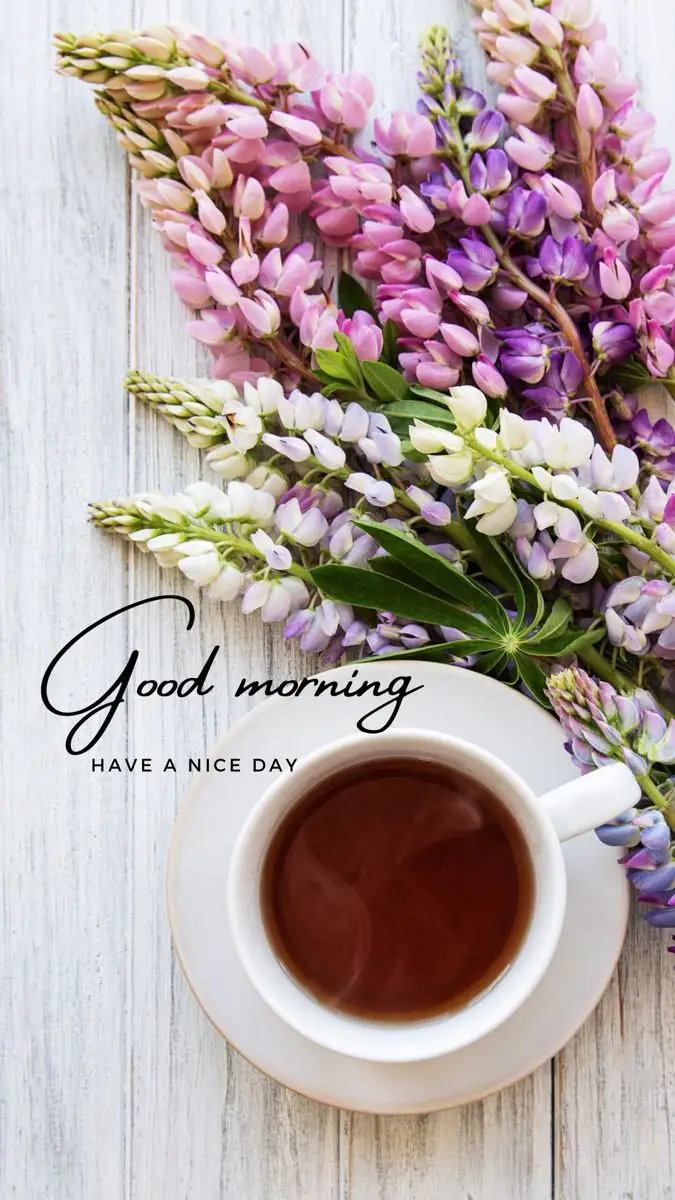 today-special-good-morning-images-hd today-special-good-morning-images-hd
