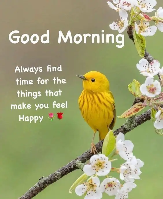 today-special-good-morning-images-love today-special-good-morning-images-love